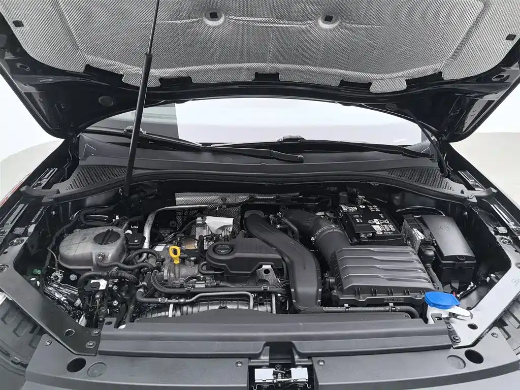Volkswagen Tiguan L 2024 300TSI Auto 2WD Smart Edition фото 6