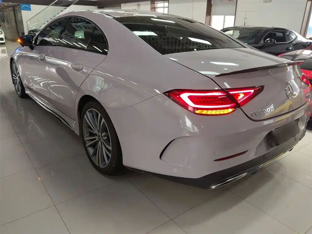 Mercedes-Benz CLS 2020 CLS 300 Dynamic фото 22