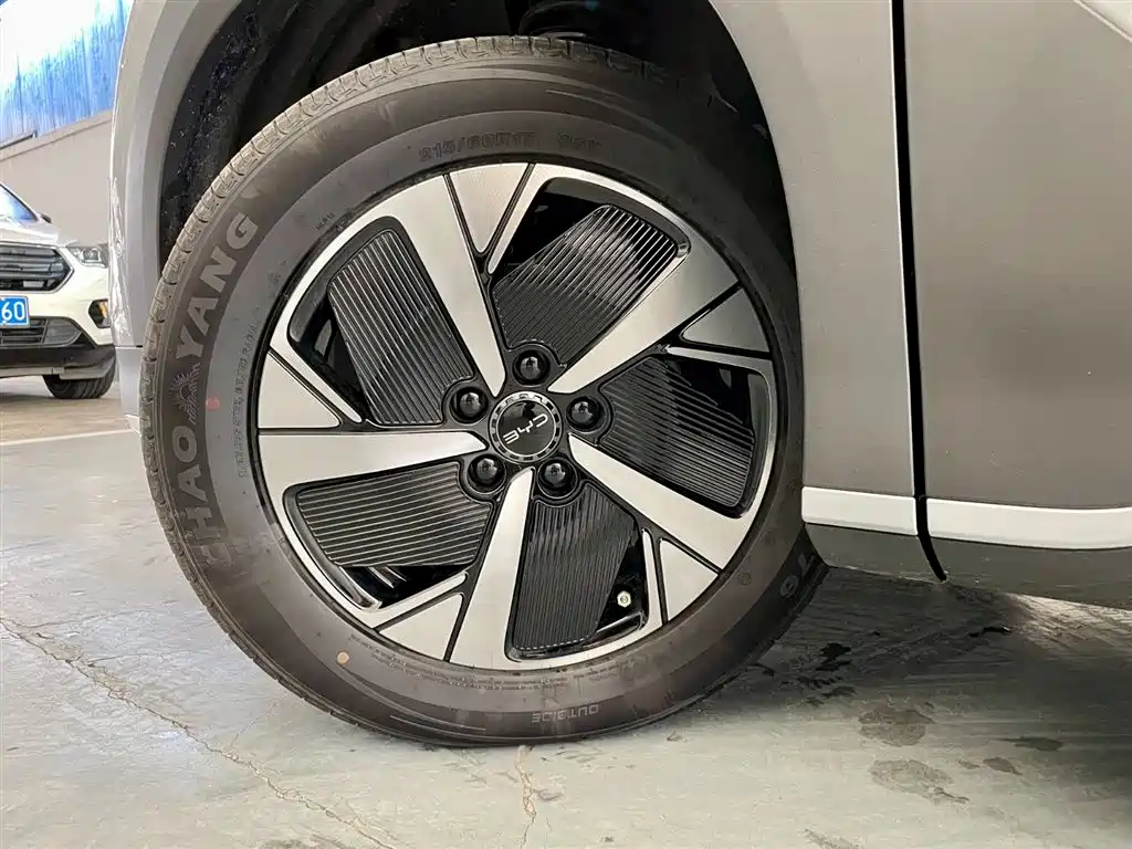 BYD Hai Shi 05 EV 2025 520KM Smart Navigation Edition фото 22