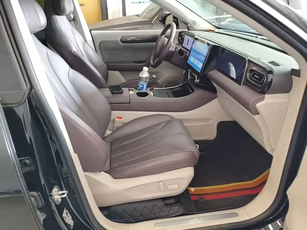 Leapmotor C11 2022 2021 Luxury Edition