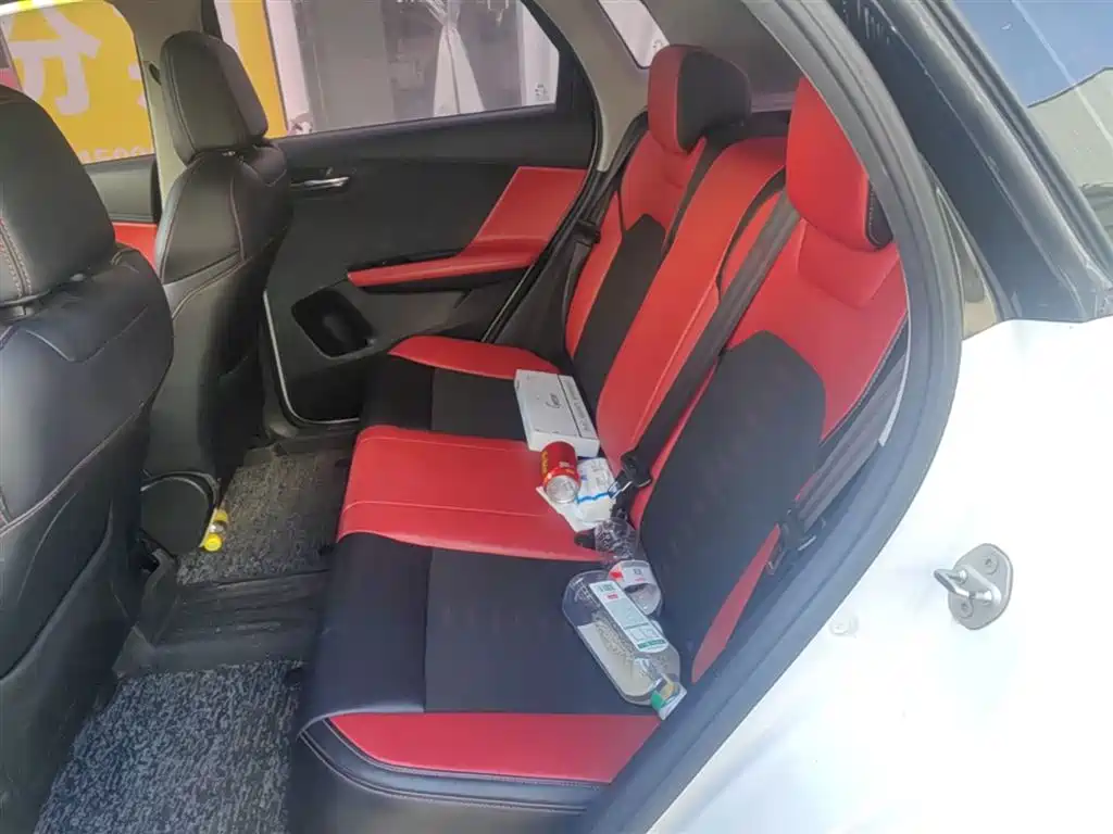 BYD e2 2020 Upgraded Long Range Luxury фото 17