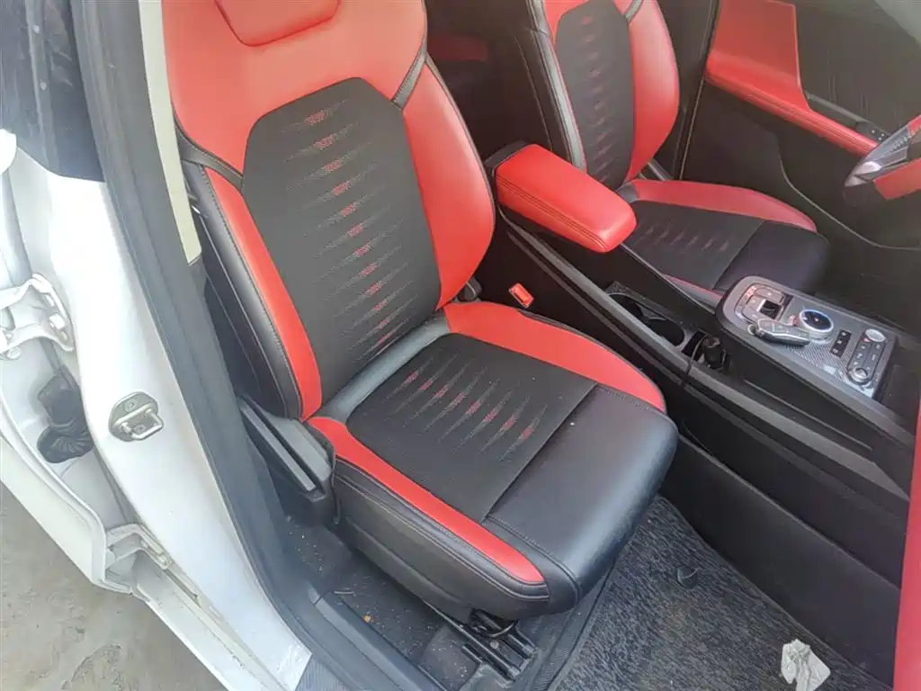 BYD e2 2020 Upgraded Long Range Luxury фото 25