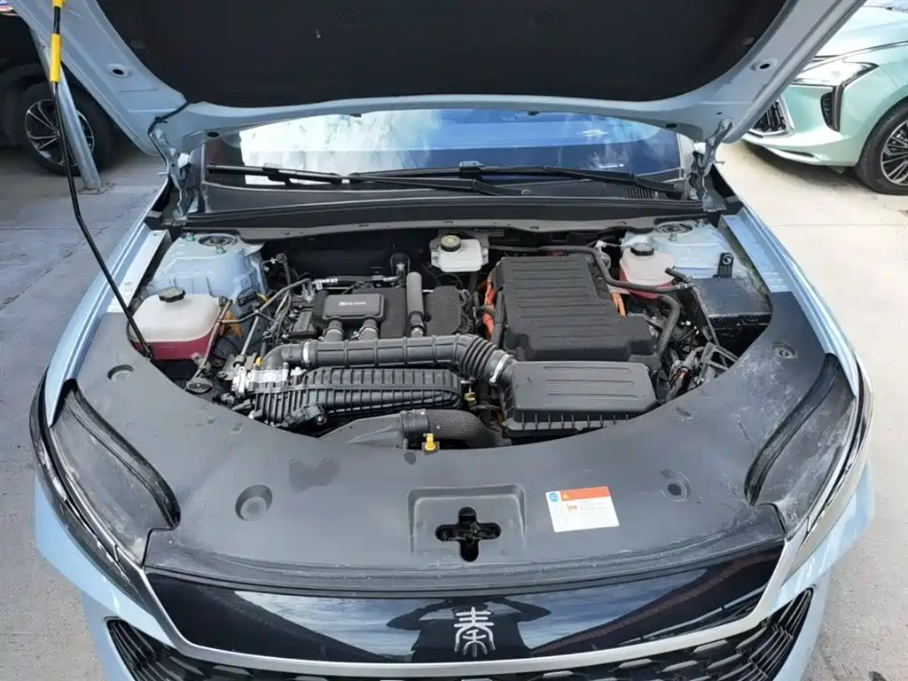 BYD Qin PLUS 2025 DM-i Smart Drive 55KM Leader фото 20