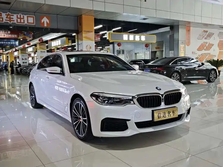 BMW 5 Series 2020 530Li Exclusive M Sport Package фото 3