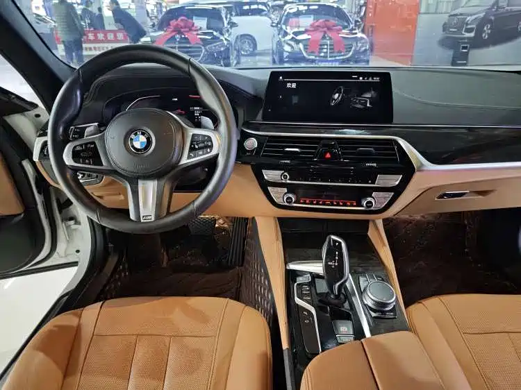 BMW 5 Series 2020 530Li Exclusive M Sport Package фото 14