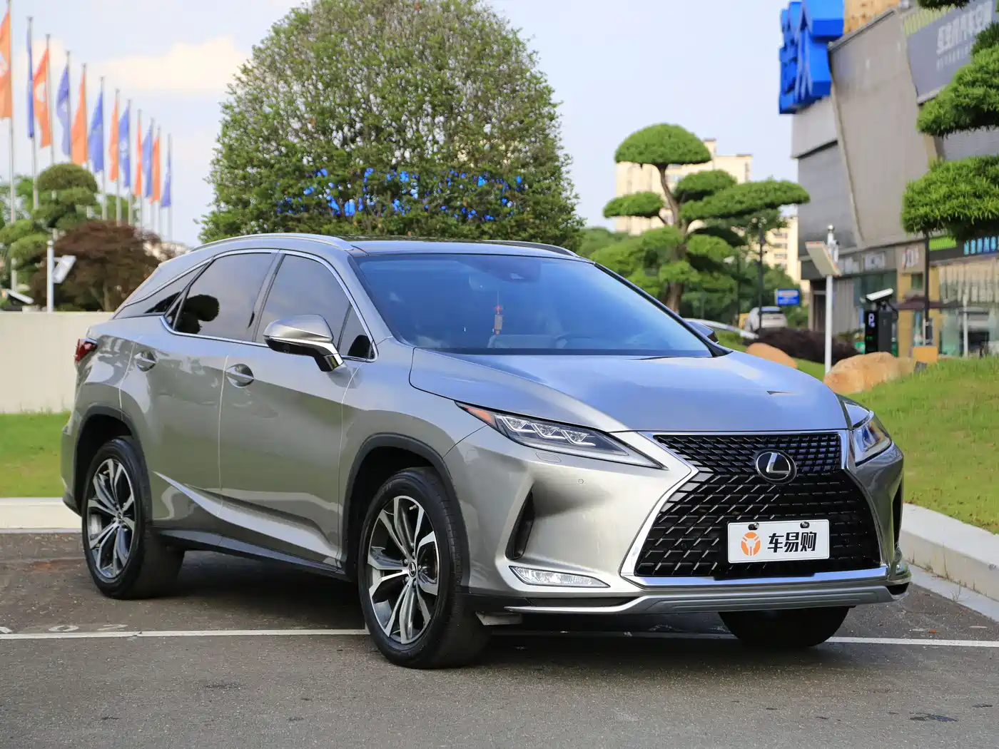 LEXUS RX