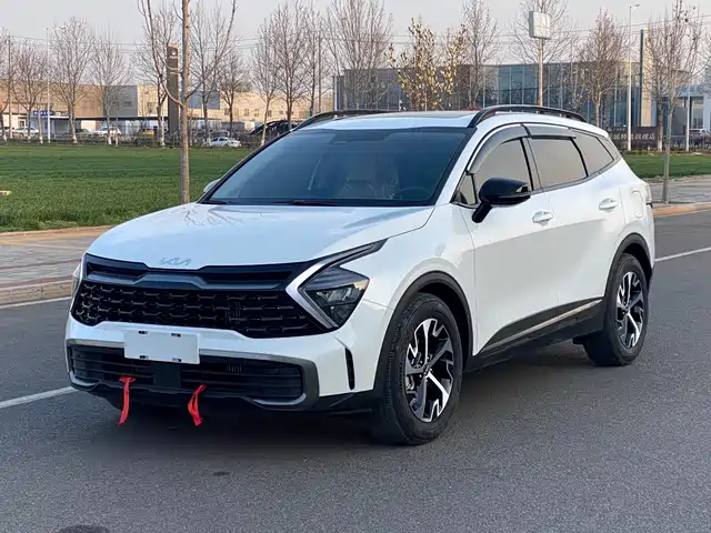 KIA LION PLATINUM EXPANDS THE WORLD