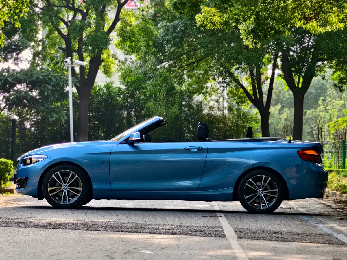 BMW 2 Series (Import) 2018 220i Convertible Coupe Sport Design Package фото 4