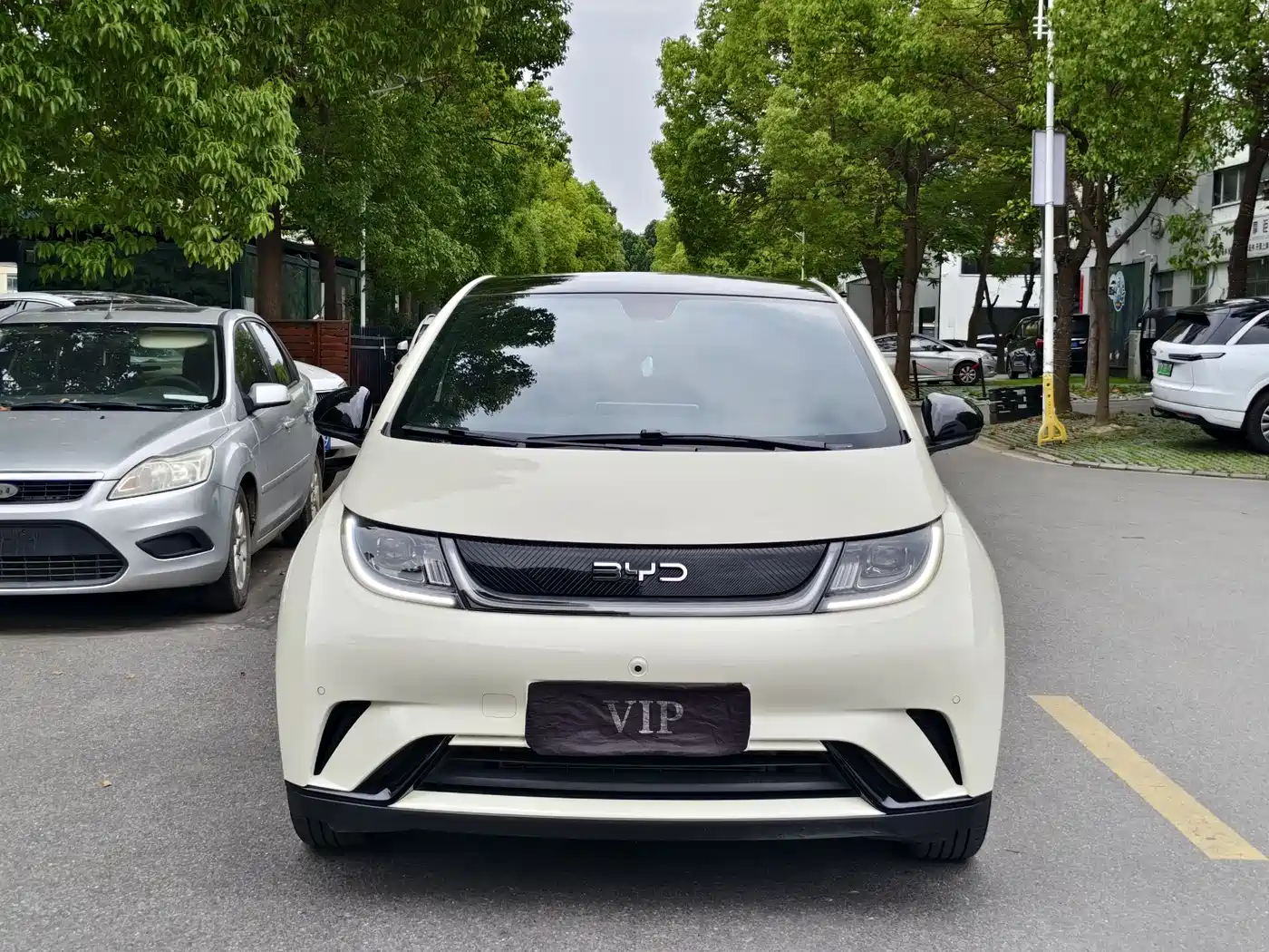 BYD Dolphin 2025 420km Fashion Edition