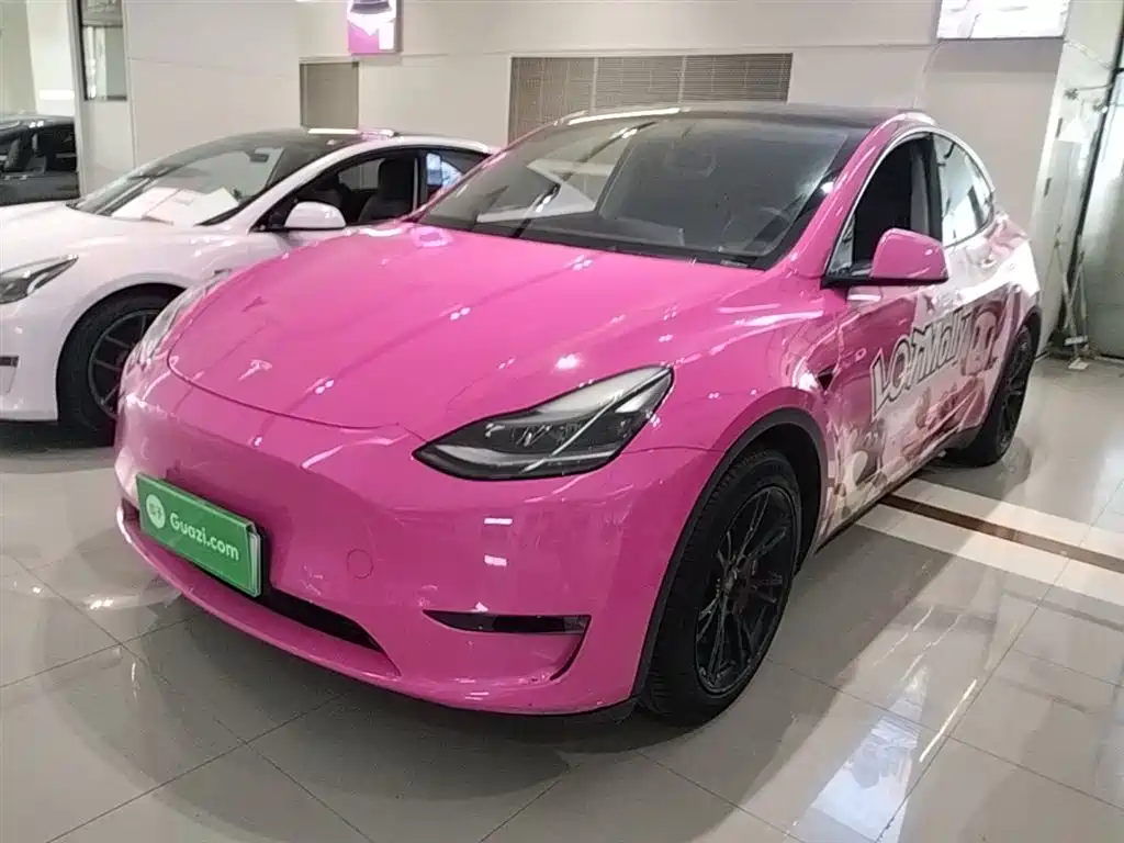 Tesla Model Y 2021 Standard Range Rear-Wheel Drive