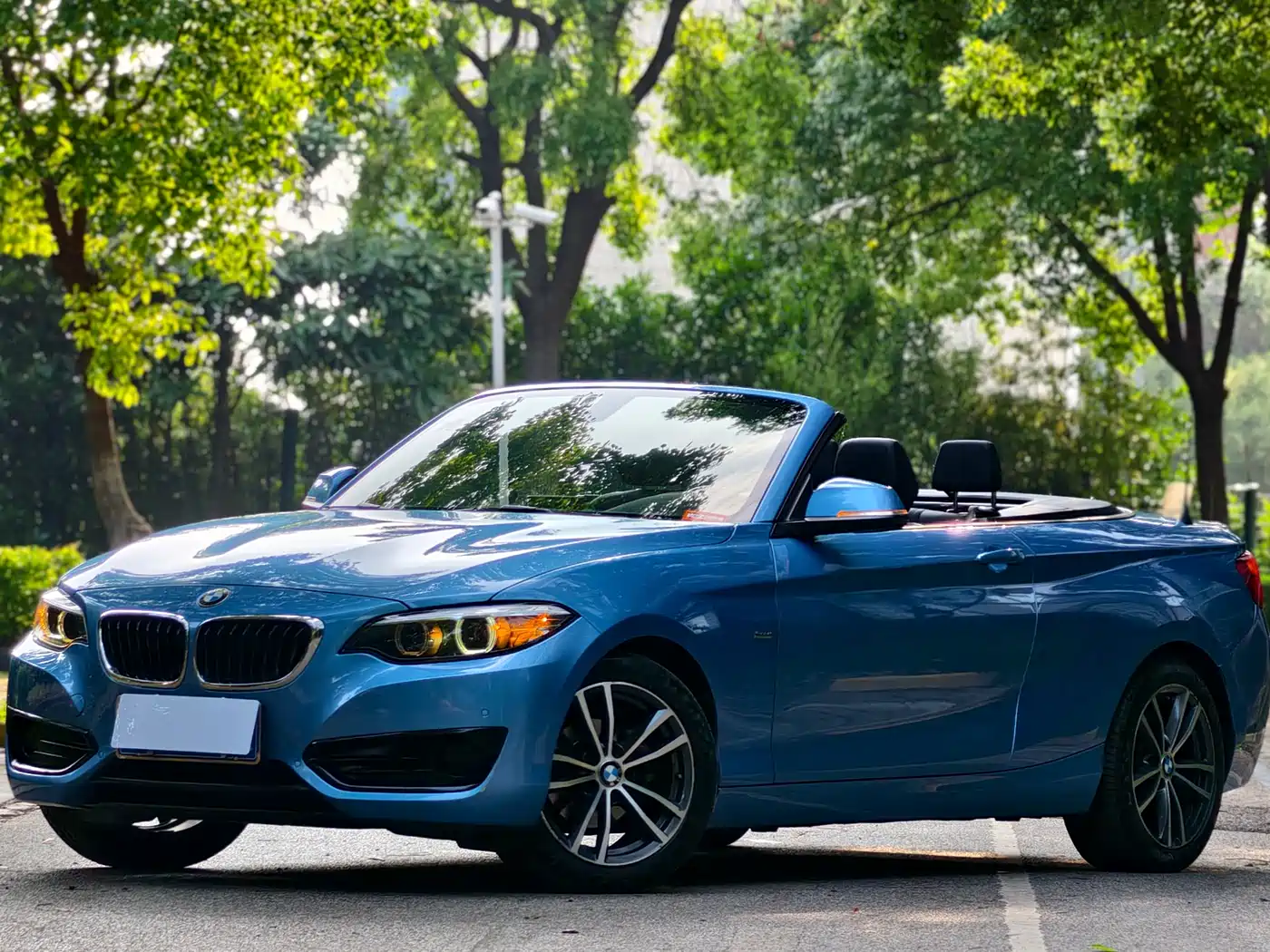 BMW 2 Series (Import) 2018 220i Convertible Coupe Sport Design Package