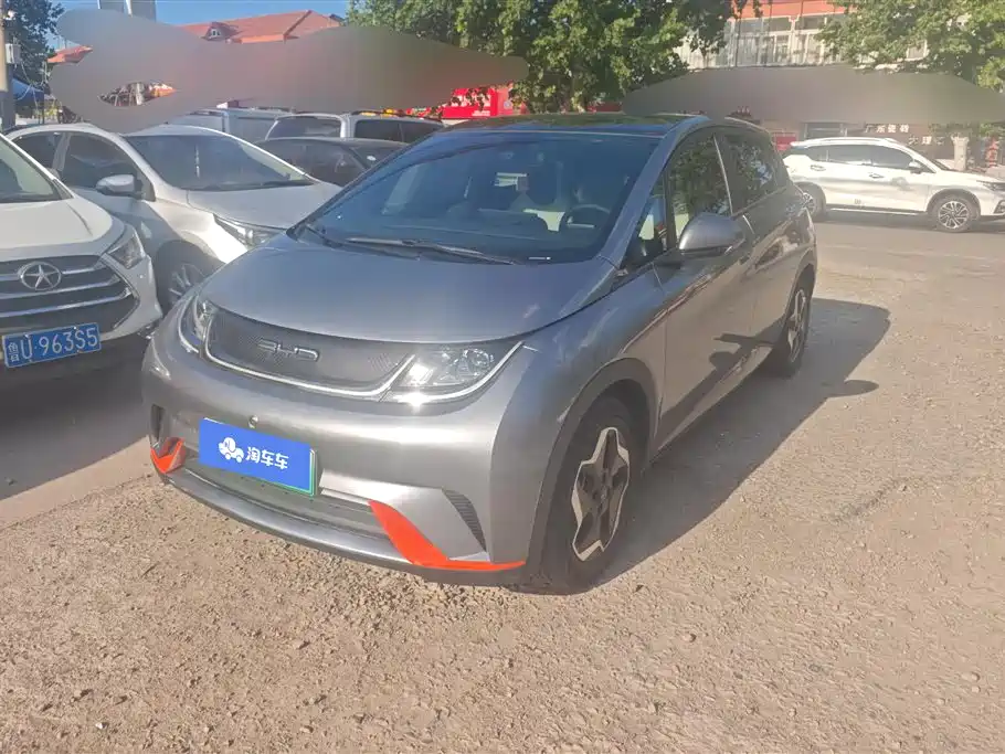 BYD Dolphin 2021 Model 405km Fashion Edition