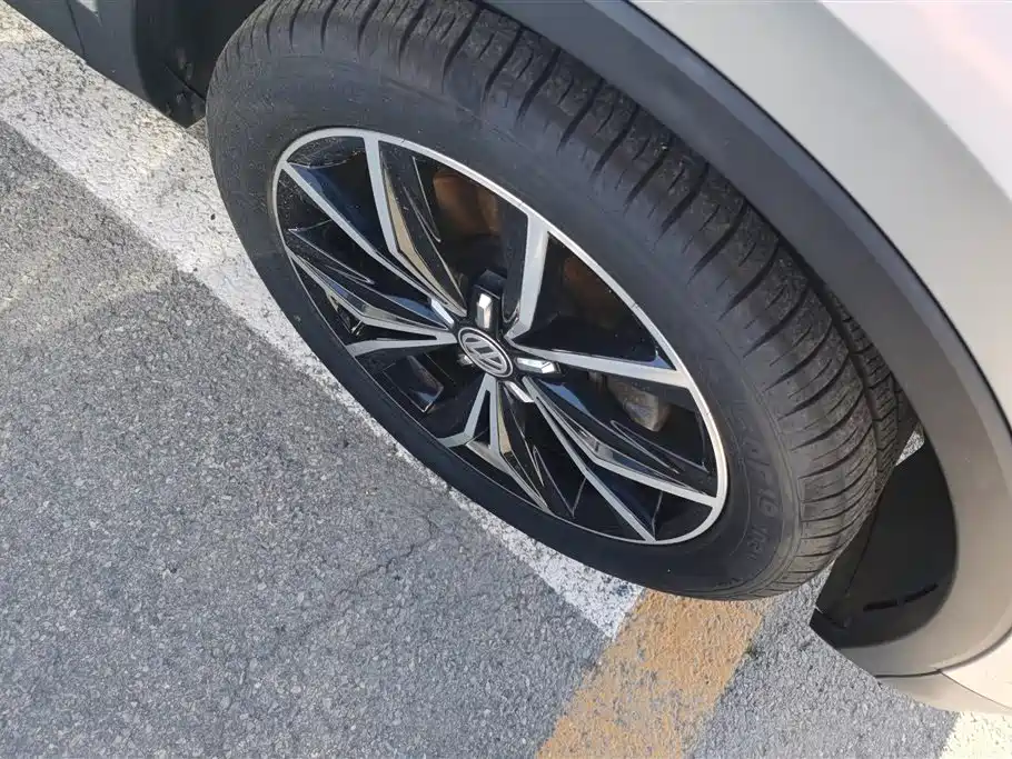 Volkswagen Tiguan L 2019 330TSI Auto 2WD Smart Luxury Edition China V фото 6