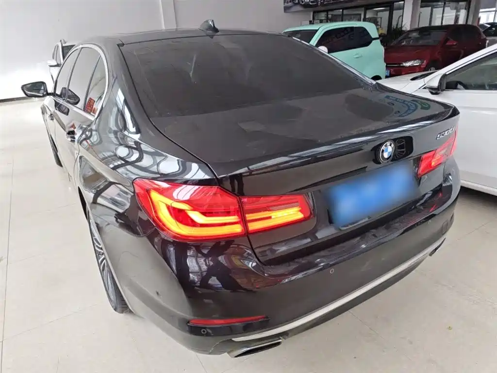 BMW 5 Series 2018 530Li Exclusive Luxury Package фото 5