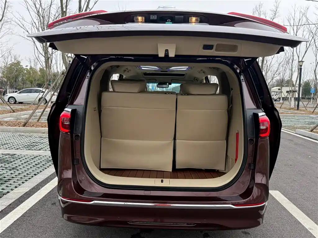 Buick GL8 2022 ES Landmark 653T Premium фото 23