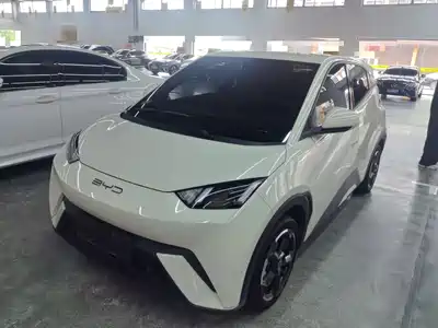 BYD Seagull