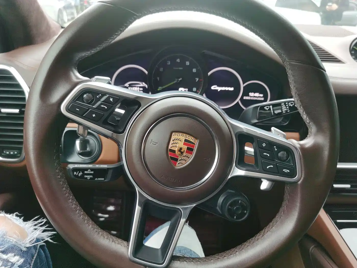 PORSCHE CAYENNE NEW ENERGY