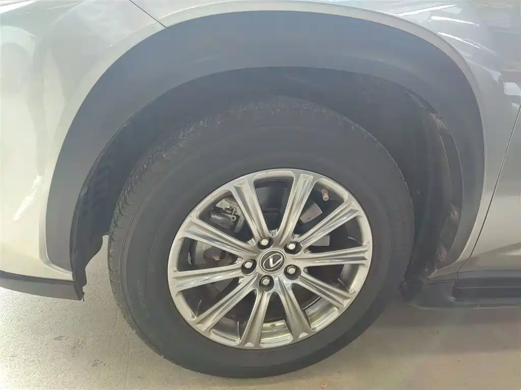 Lexus NX 2020 300h FWD F Sport China VI фото 21
