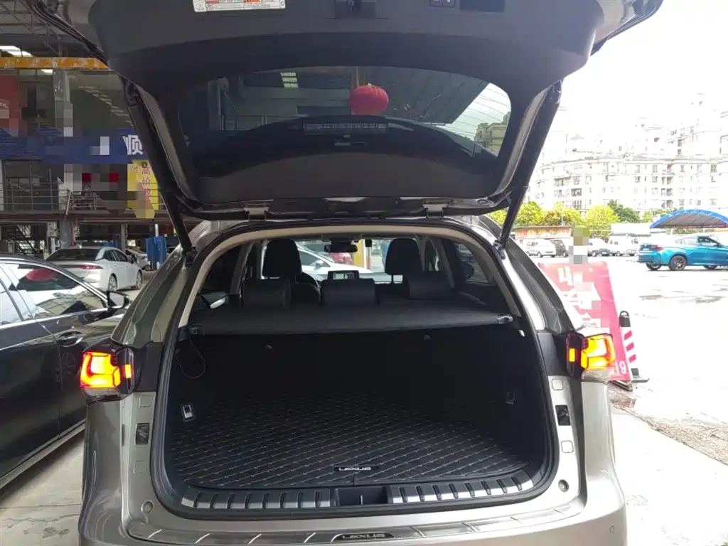 Lexus NX 2020 300h FWD F Sport China VI фото 10