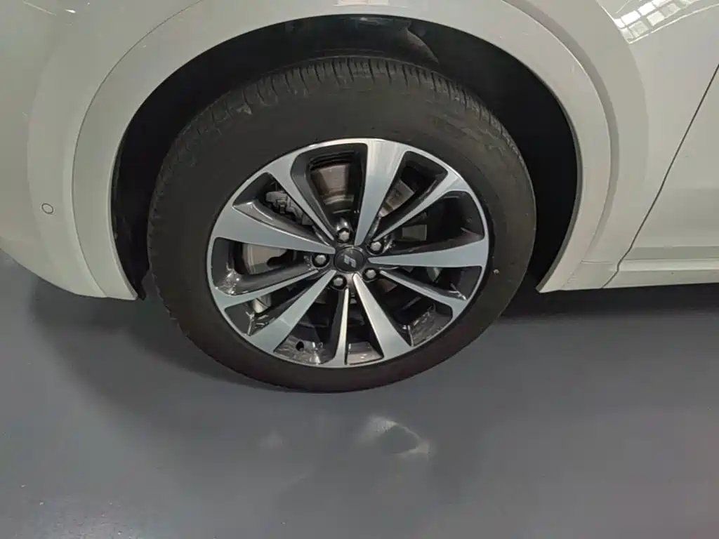 Фото 23 - Li Auto Li ONE