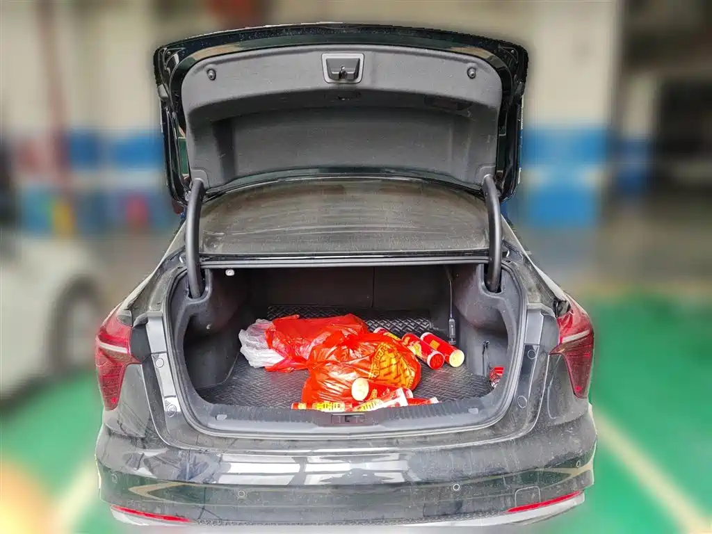 Hongqi H5 2023 1.5T DCT Smart Connect Flag Rhythm фото 10