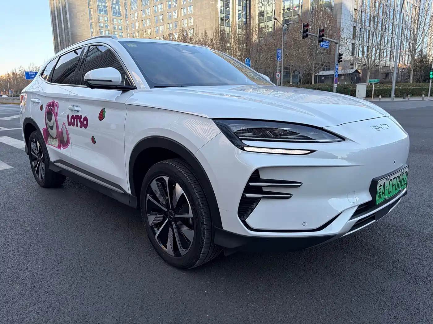 BYD SONGJIANG NEW ENERGY