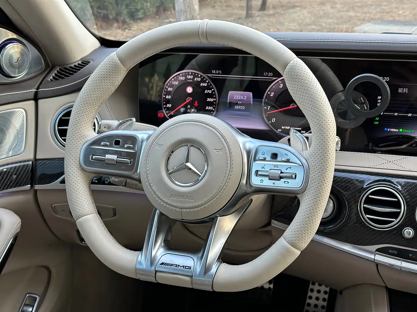 Mercedes-Benz S-Class AMG 2014 AMG S 65 L фото 14
