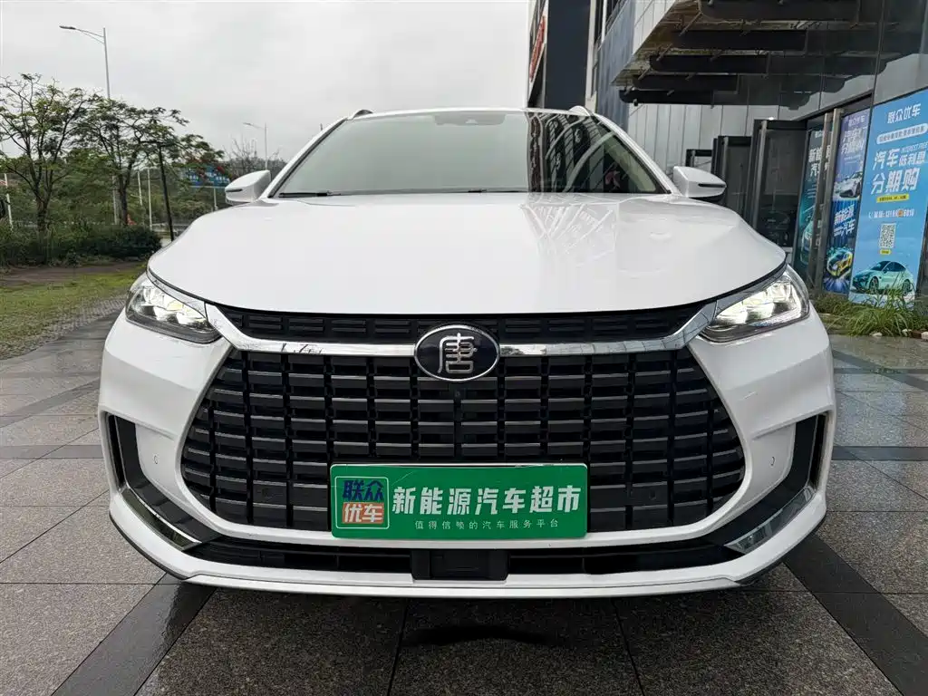 BYD TANGXIN ENERGY 2019