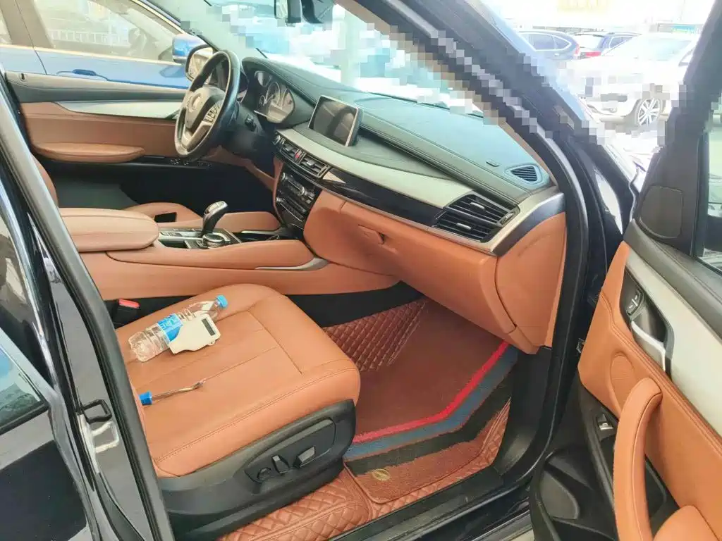 صورة 12 - BMW X6