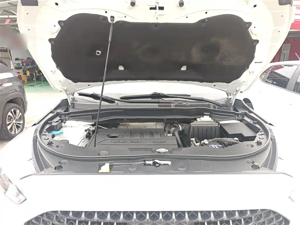 Haval M6 2019 1.5T DCT 2WD Value Edition (China VI) фото 20