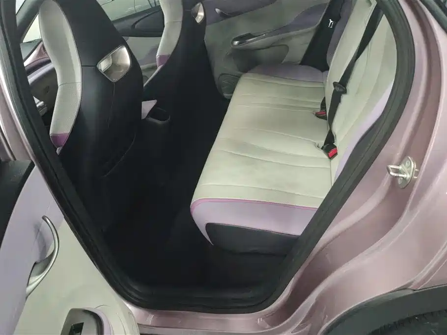 BYD Dolphin 2023 420km Fashion Edition фото 11