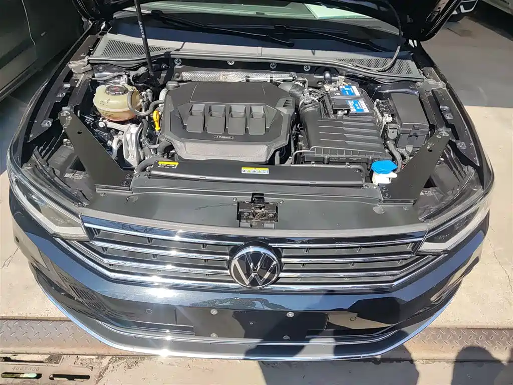 Volkswagen Magotan 2020 330TSI DSG Luxury фото 16