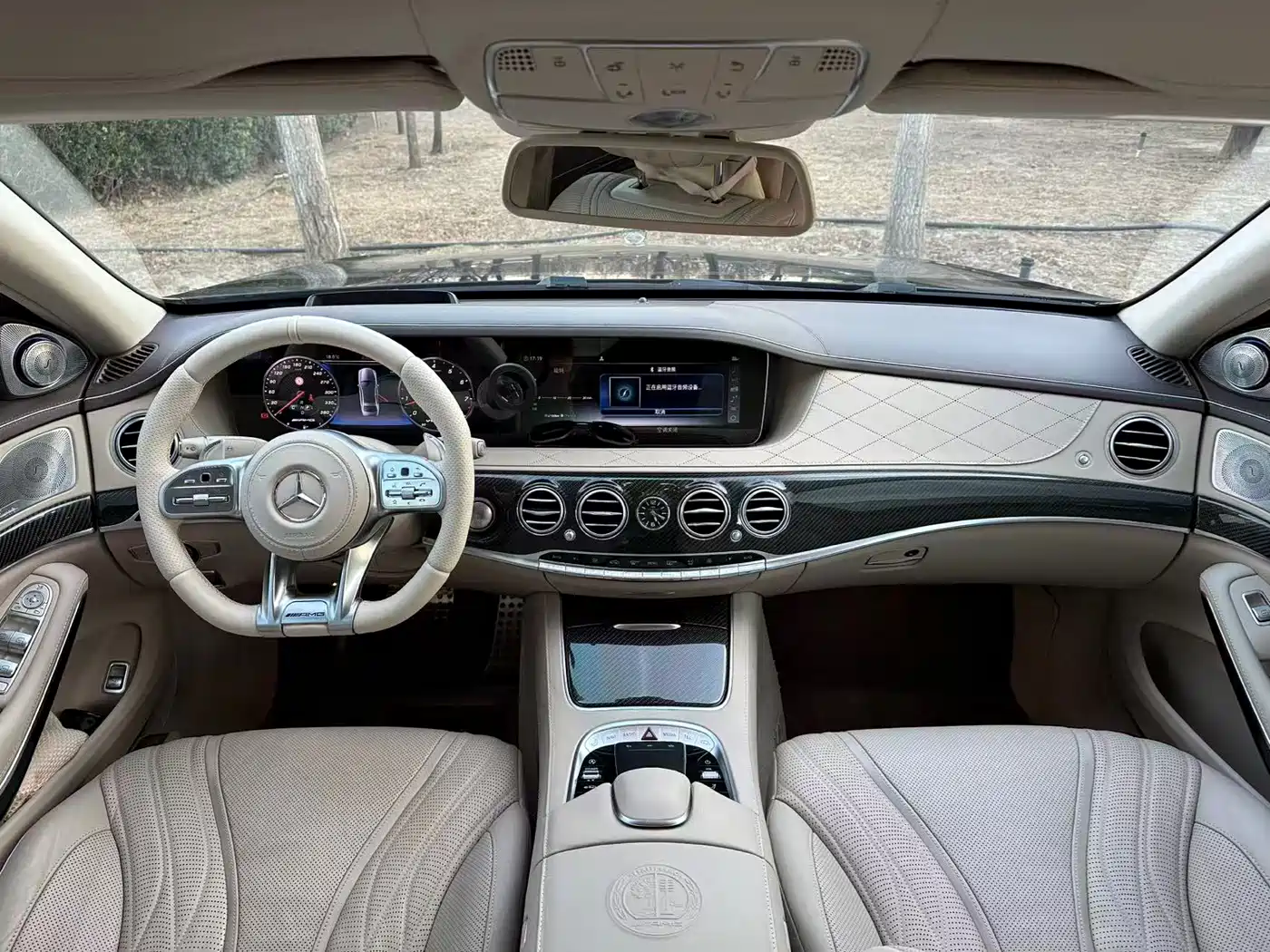 Mercedes-Benz S-Class AMG 2014 AMG S 65 L фото 9