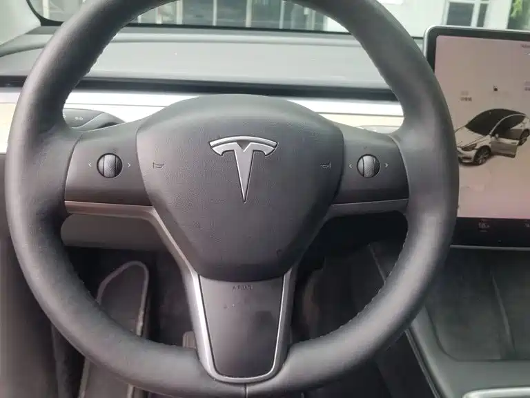Tesla Model Y 2021 2021 Standard Range Rear-Wheel Drive