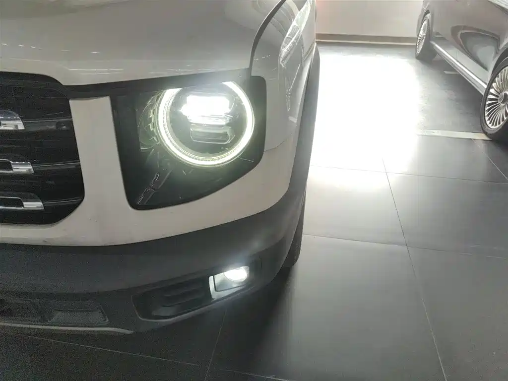 Haval Big Dog 2021 1.5T DCT 2WD Labrador Edition фото 24