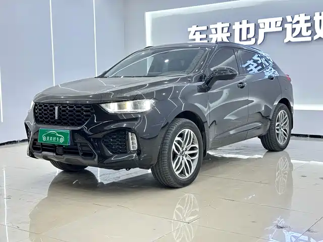 WEI PAI WEI BRAND VV5