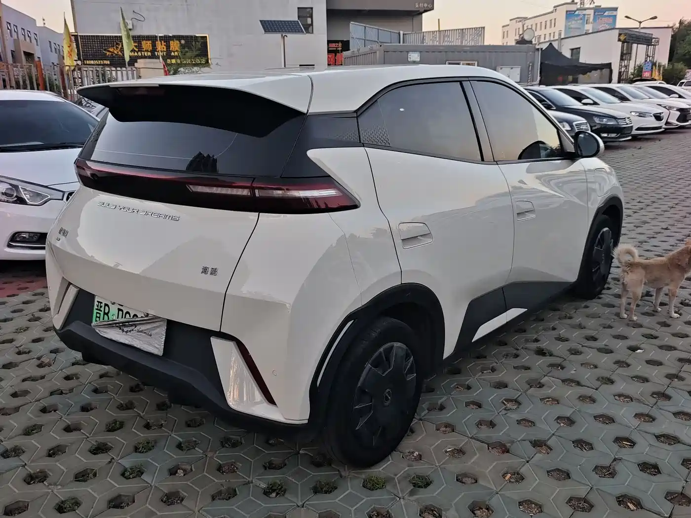 BYD Seagull 2023 Vitality Edition фото 9