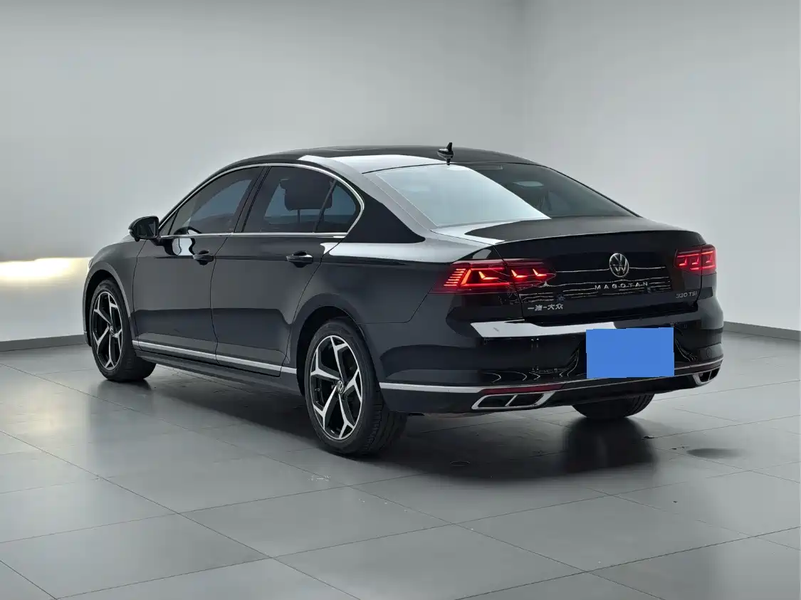 Volkswagen Magotan 2025 2025 Popular Edition 330TSI DSG Luxury