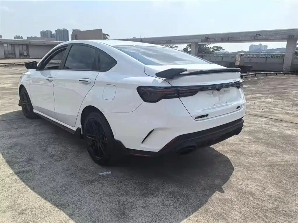 GEELY AUTOMOBILE BINRUI