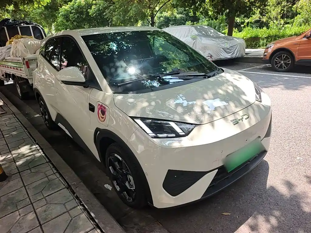 BYD Seagull 2026 2025 Smart Drive Edition 305km Freedom Version