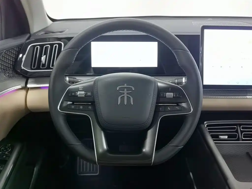 BYD SONGJIANG NEW ENERGY