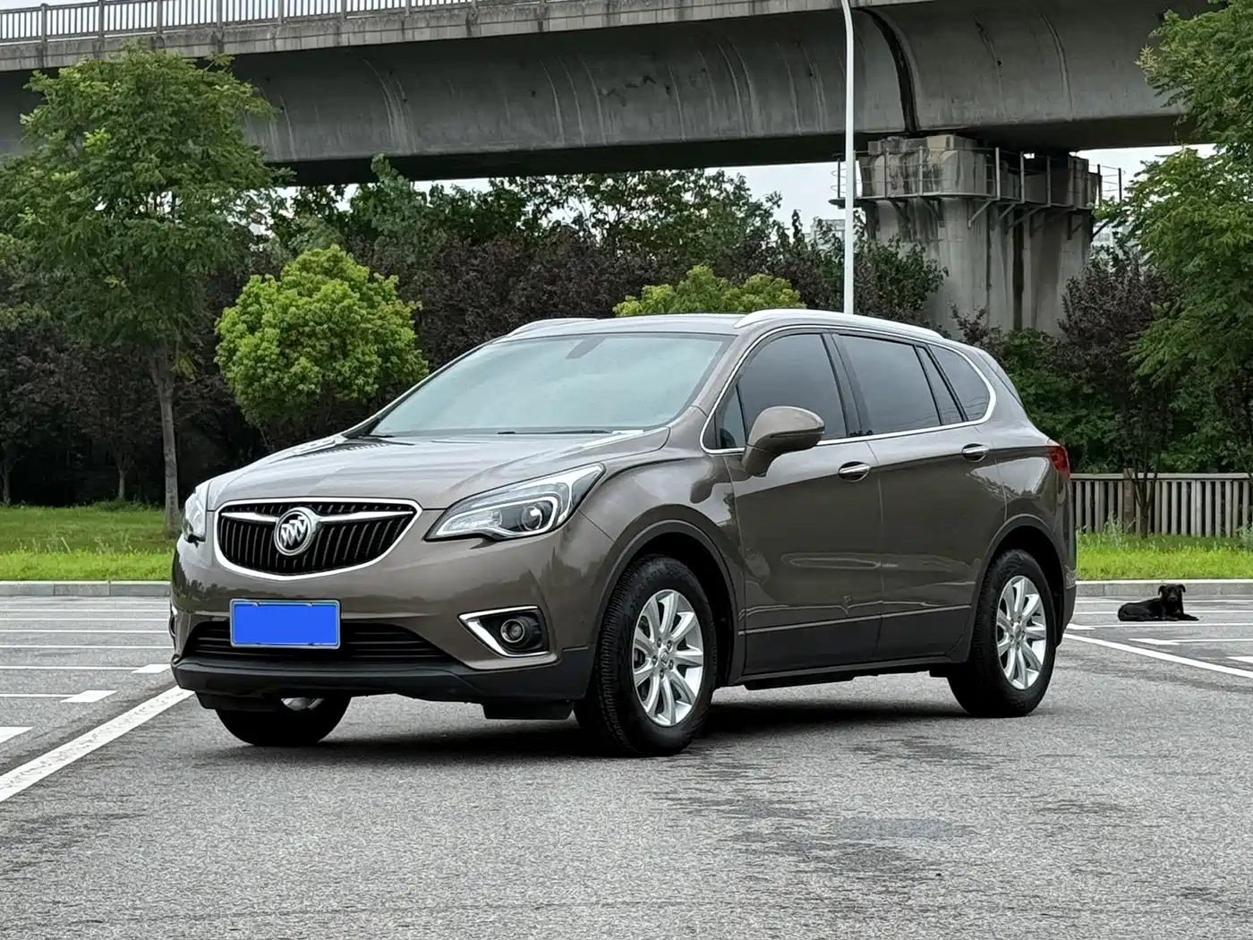 Buick Envision Plus 2019 — пригон из Китая