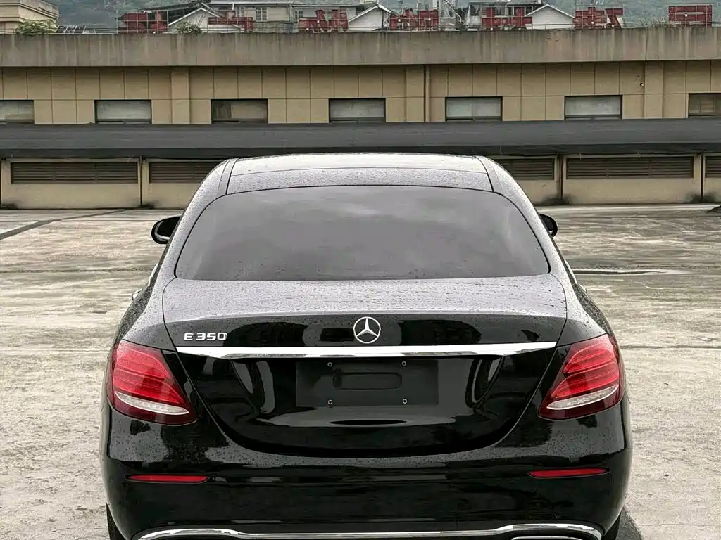 Mercedes-Benz E-Class 2017 E 300 L Sport Luxury фото 9