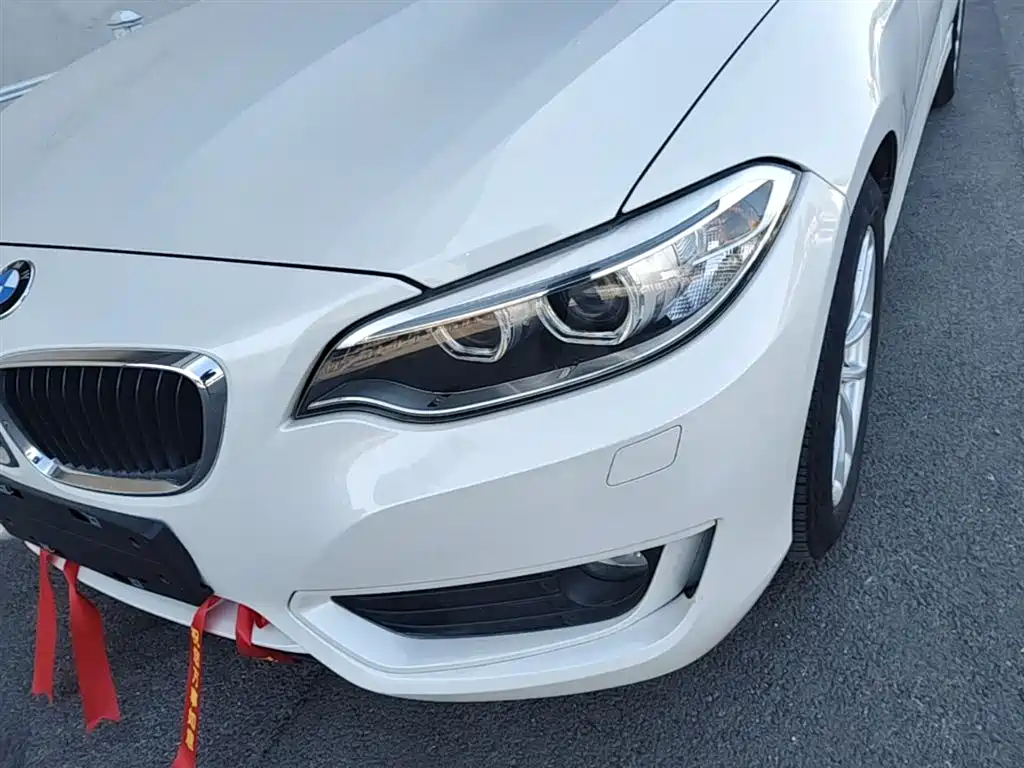 BMW 2 Series (Import) 2015 218i Convertible Coupe фото 23