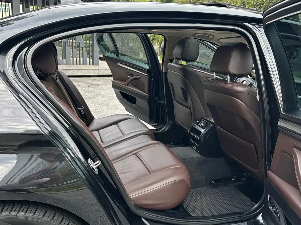 BMW 5 Series 2017 525Li Luxury Design Package фото 13