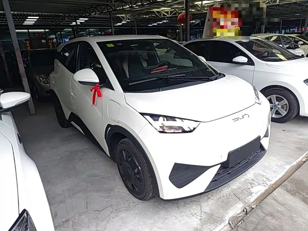 BYD Seagull 2026 2025 Smart Drive Edition 305km Vitality Version