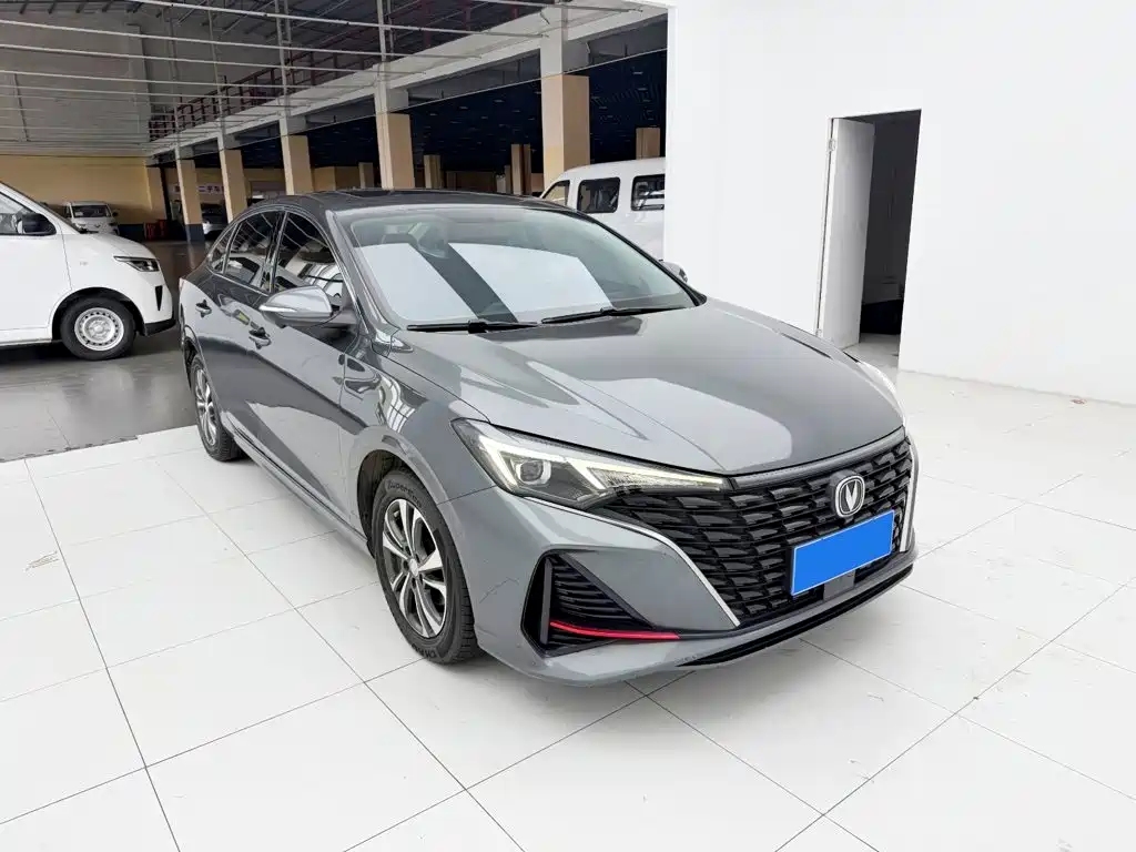 Фото 3 - Changan Eado