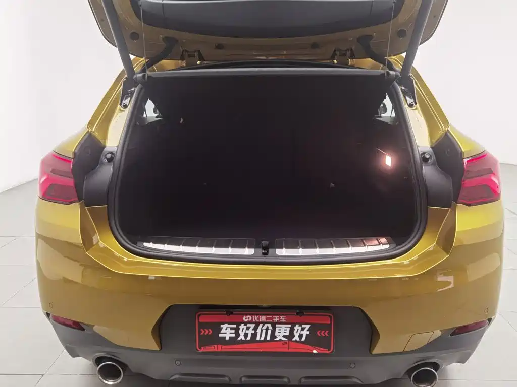 BMW X2 (Import) 2018 2018 sDrive25i Luxury M Off-Road Package China V