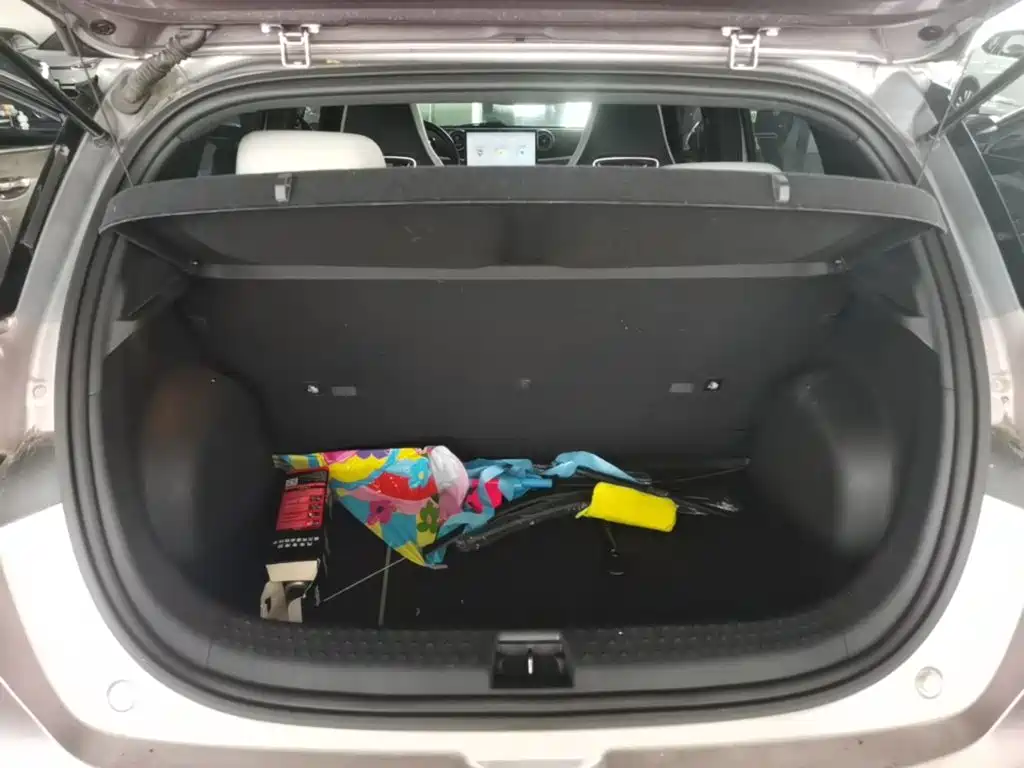 BYD Dolphin 2021 2021 Model 405km Fashion Edition