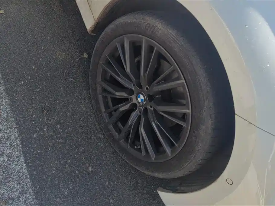BMW 3 Series 2022 325i M Sport Shadow Edition фото 6